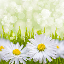 Similar image 5489709