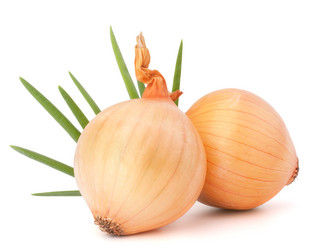 Similar image 5489710