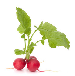 Similar image 5489733