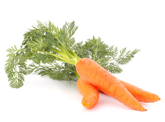 Similar image 5489737