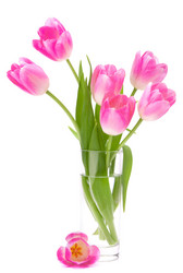 Similar image 5489744