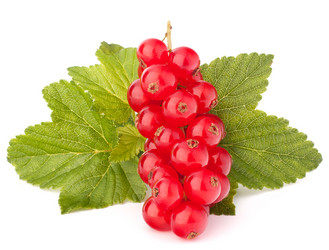 Similar image 5489766