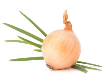 Similar image 5489768