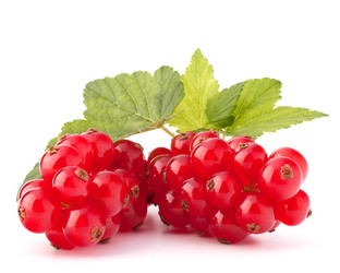 Similar image 5489775