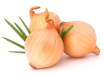 Similar image 5489779