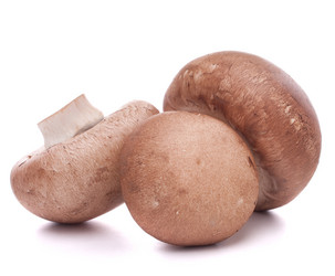 Similar image 5489787