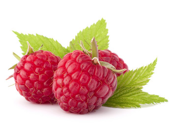 Similar image 5489805