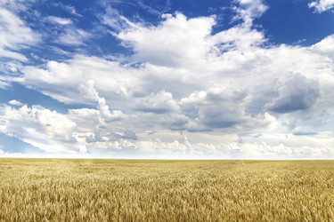 Similar image 5489840