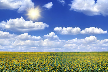 Similar image 5489843