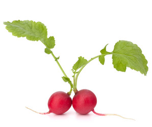 Similar image 5489927