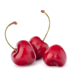 Similar image 5489930