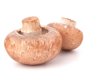 Similar image 5489940