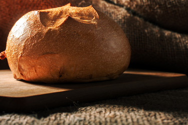 Similar image 5489959