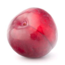 Similar image 5489974