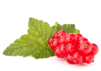 Similar image 5489990