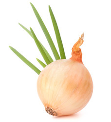 Similar image 5489991