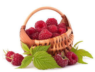 Similar image 5490026