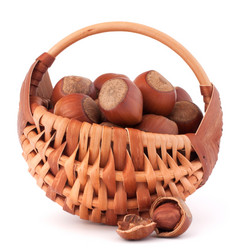 Similar image 5490036