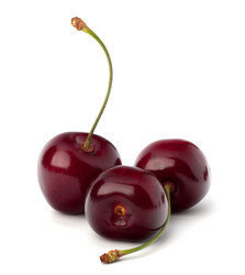 Similar image 5490040