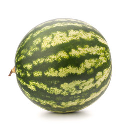 Similar image 5490049