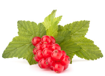 Similar image 5490055