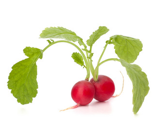 Similar image 5490085