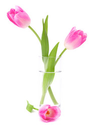 Similar image 5490119