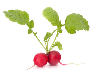 Similar image 5490163