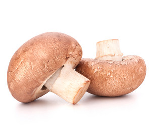 Similar image 5490173