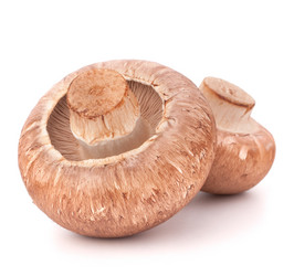 Similar image 5490192