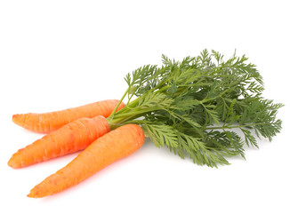 Similar image 5490211