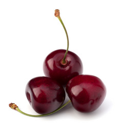 Similar image 5490235