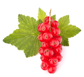 Similar image 5490237