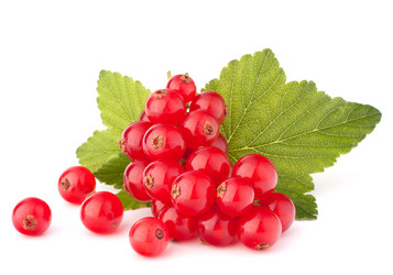 Similar image 5490275