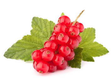 Similar image 5490276