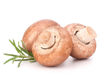 Similar image 5490283