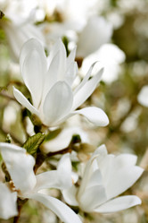 Similar image 5490294