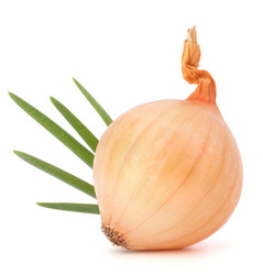 Similar image 5490305