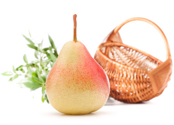 Similar image 5490321