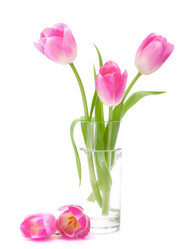 Similar image 5490345