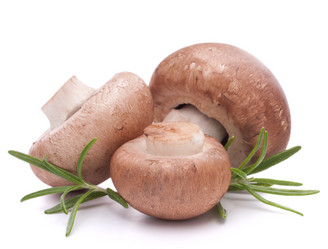 Similar image 5490358