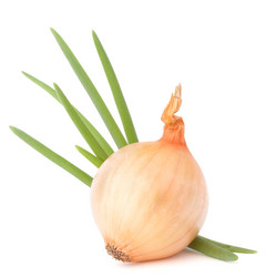 Similar image 5490399