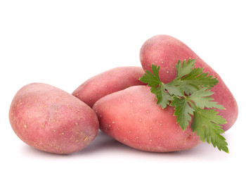 Similar image 5490458