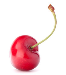 Similar image 5490459