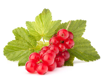 Similar image 5490470