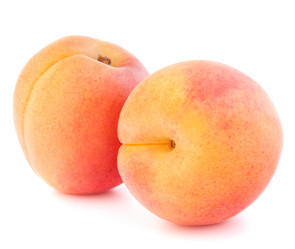 Similar image 5490481