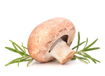 Similar image 5490496