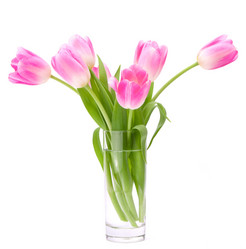 Similar image 5490500