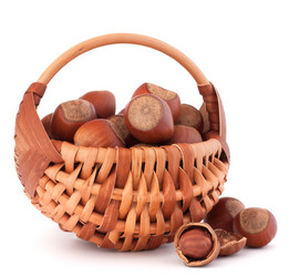 Similar image 5490512