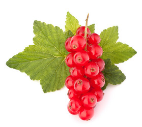 Similar image 5490518